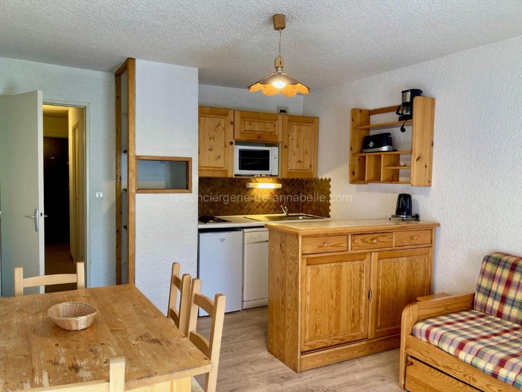 Studio confortable, pied de pistes au cœur des Deux Alpes, animaux admis