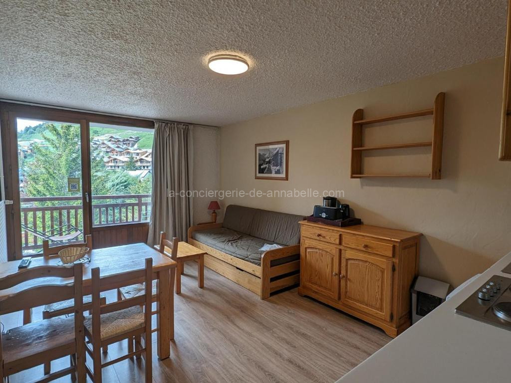 Photo de Studio fonctionnel avec balcon, au pied des pistes, animaux admis - FR-1-811-32