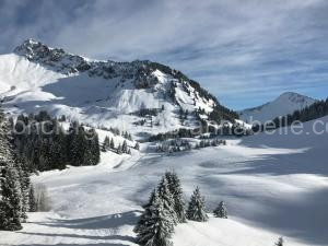 Chalet Les 3 Ours By Leavetown Vacations à Les Deux Alpes