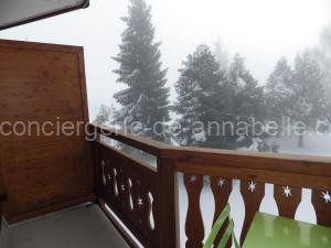 Joli studio 4 pers avec balcon sud aux Deux Alpes - Parking - FR-1-546-51 à Les Deux Alpes