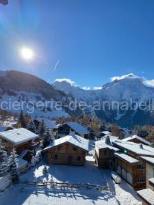 STUDIO 2 ALPES STYLE CHALET au PIED DE TELESIEGE DU DIABLE à Les Deux Alpes